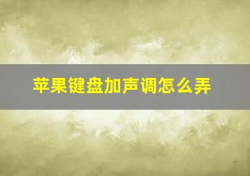 苹果键盘加声调怎么弄