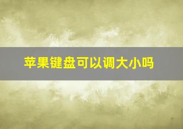 苹果键盘可以调大小吗