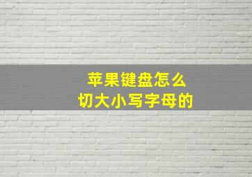 苹果键盘怎么切大小写字母的