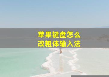 苹果键盘怎么改粗体输入法