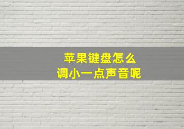 苹果键盘怎么调小一点声音呢