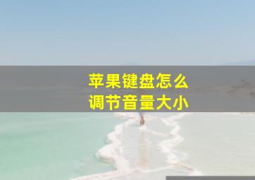 苹果键盘怎么调节音量大小