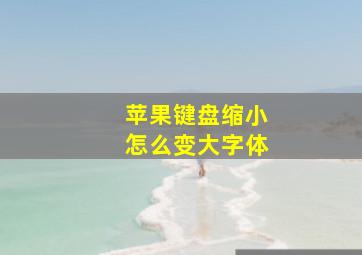 苹果键盘缩小怎么变大字体