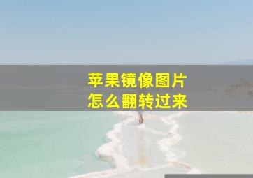 苹果镜像图片怎么翻转过来