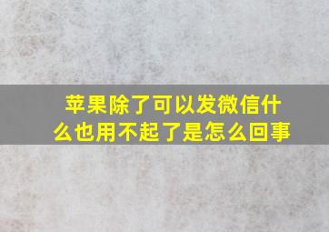 苹果除了可以发微信什么也用不起了是怎么回事