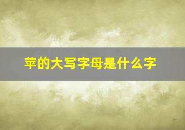 苹的大写字母是什么字