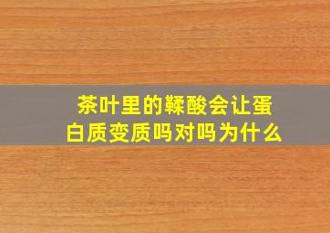 茶叶里的鞣酸会让蛋白质变质吗对吗为什么