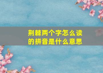 荆棘两个字怎么读的拼音是什么意思