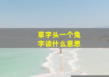 草字头一个兔字读什么意思