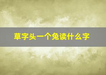 草字头一个兔读什么字