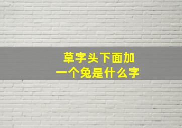 草字头下面加一个兔是什么字