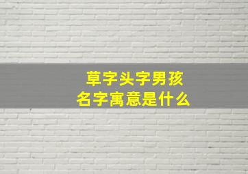 草字头字男孩名字寓意是什么