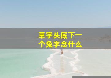 草字头底下一个兔字念什么