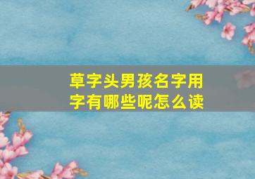 草字头男孩名字用字有哪些呢怎么读