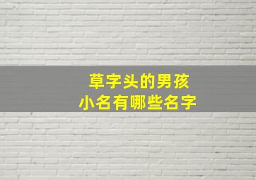 草字头的男孩小名有哪些名字