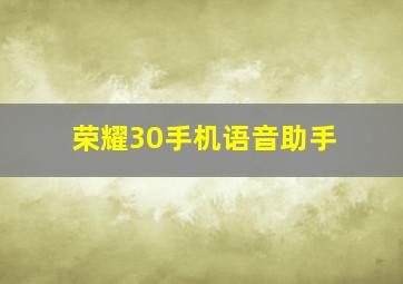 荣耀30手机语音助手