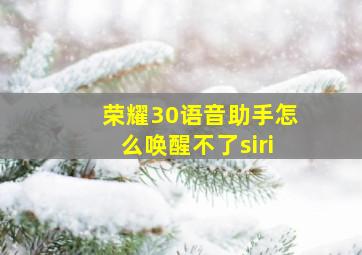 荣耀30语音助手怎么唤醒不了siri