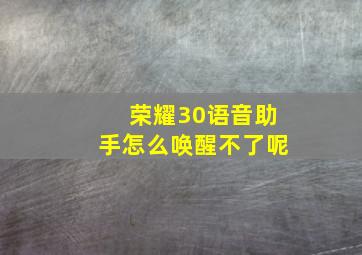 荣耀30语音助手怎么唤醒不了呢