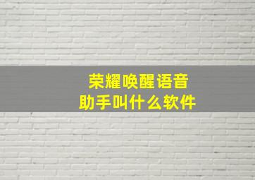 荣耀唤醒语音助手叫什么软件