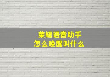 荣耀语音助手怎么唤醒叫什么