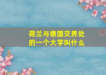 荷兰与德国交界处的一个大学叫什么