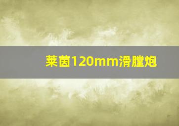 莱茵120mm滑膛炮