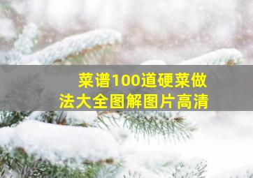 菜谱100道硬菜做法大全图解图片高清