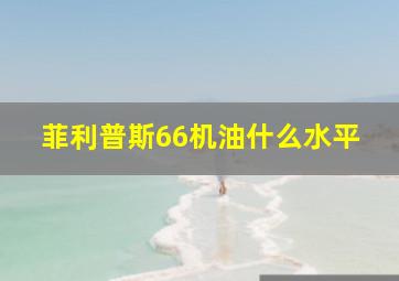 菲利普斯66机油什么水平