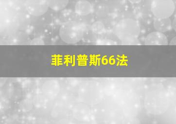 菲利普斯66法