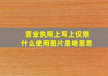 营业执照上写上仅限什么使用图片是啥意思