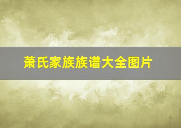 萧氏家族族谱大全图片