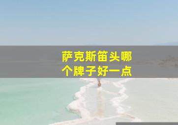 萨克斯笛头哪个牌子好一点