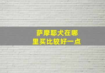 萨摩耶犬在哪里买比较好一点