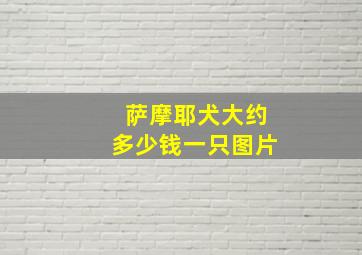 萨摩耶犬大约多少钱一只图片