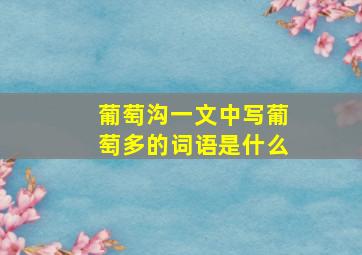 葡萄沟一文中写葡萄多的词语是什么