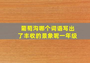 葡萄沟哪个词语写出了丰收的景象呢一年级