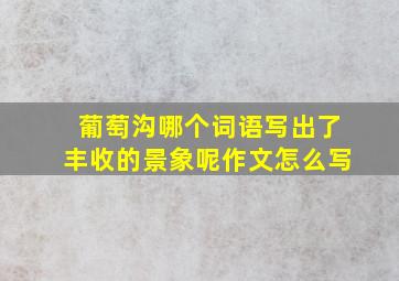 葡萄沟哪个词语写出了丰收的景象呢作文怎么写