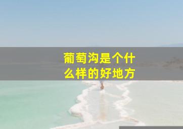 葡萄沟是个什么样的好地方