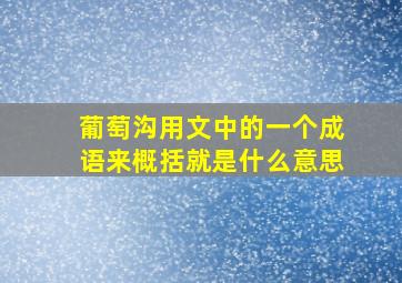 葡萄沟用文中的一个成语来概括就是什么意思