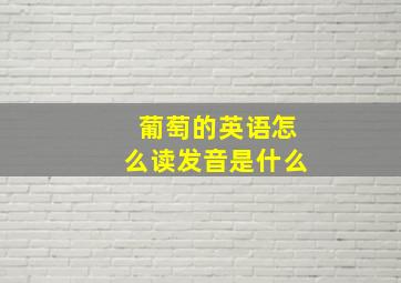 葡萄的英语怎么读发音是什么