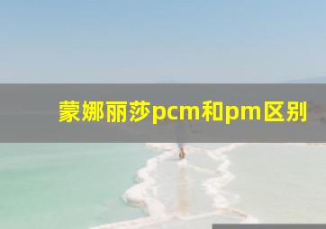 蒙娜丽莎pcm和pm区别