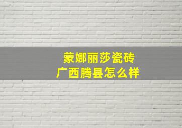 蒙娜丽莎瓷砖广西腾县怎么样