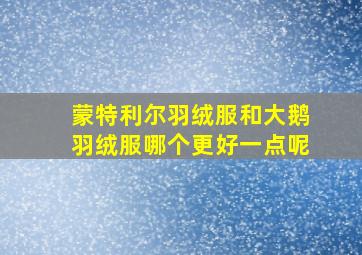 蒙特利尔羽绒服和大鹅羽绒服哪个更好一点呢