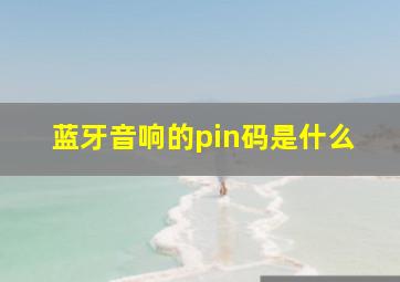 蓝牙音响的pin码是什么