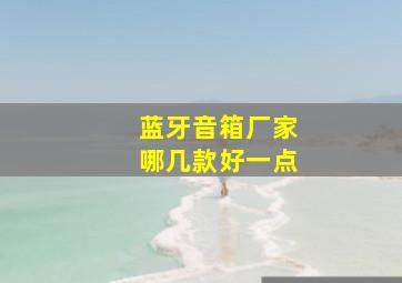 蓝牙音箱厂家哪几款好一点