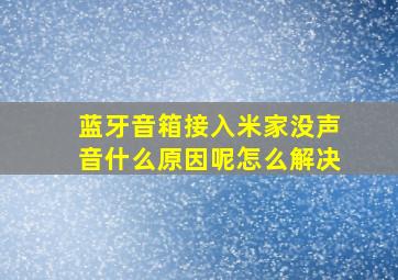 蓝牙音箱接入米家没声音什么原因呢怎么解决