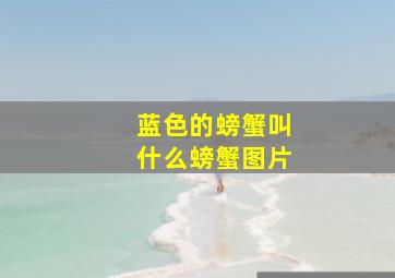 蓝色的螃蟹叫什么螃蟹图片