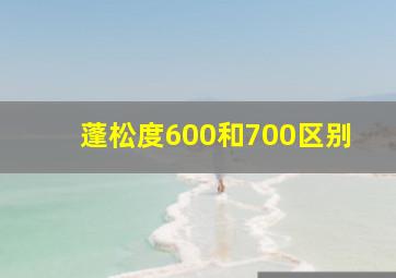 蓬松度600和700区别