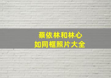 蔡依林和林心如同框照片大全