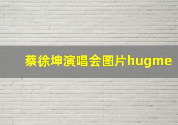 蔡徐坤演唱会图片hugme